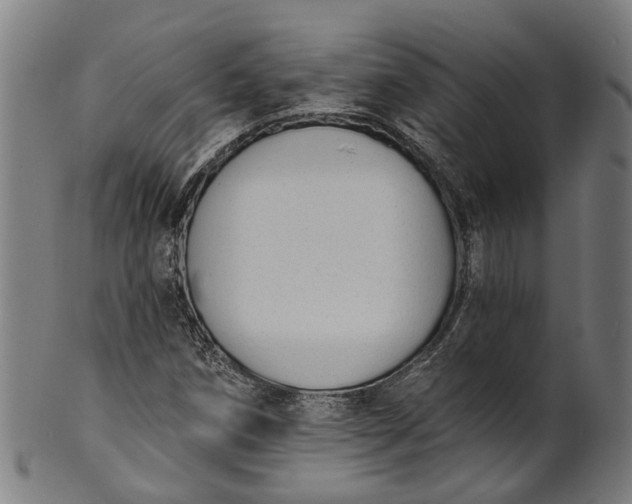 X0000101231258200807111112