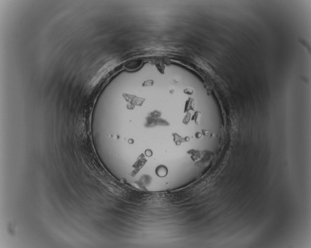 X0000101231259200807111112