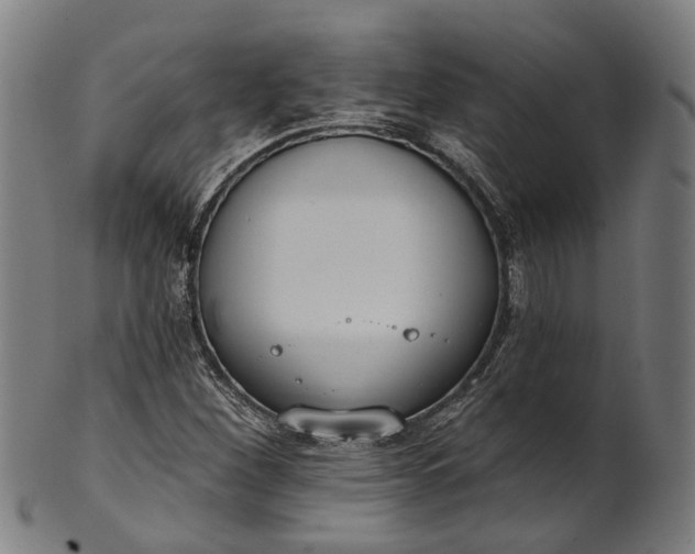 X0000101231260200807111112