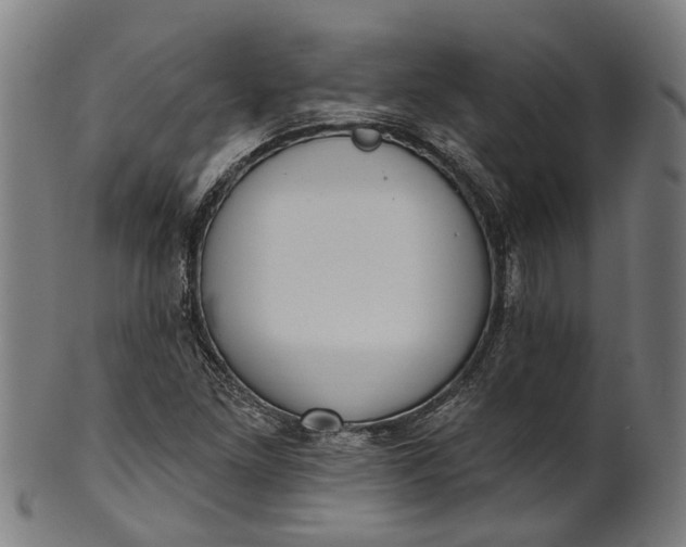 X0000101231261200807111112