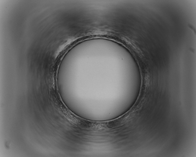 X0000101231262200807111112