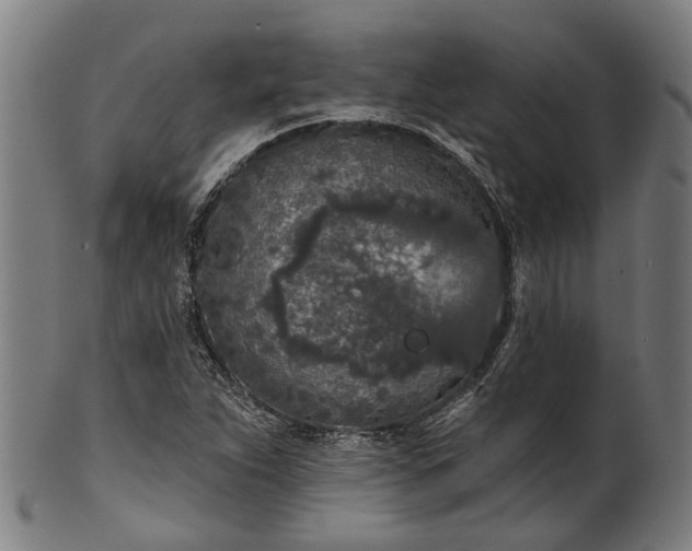 X0000101231263200807111111