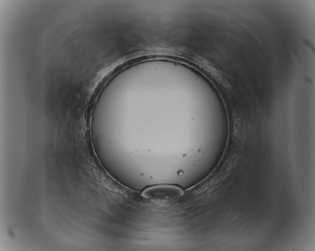 X0000101231264200807111111