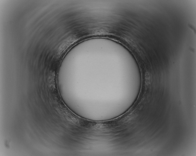 X0000101231265200807111111