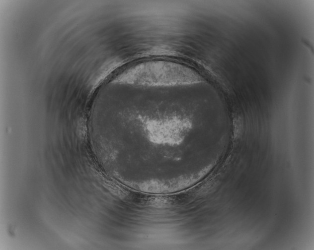 X0000101231266200807111111