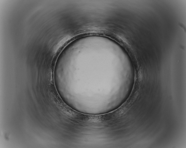 X0000101231267200807111111