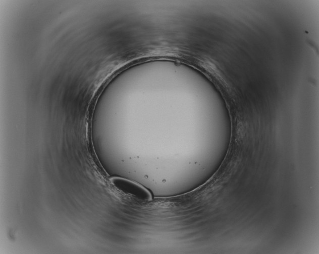 X0000101231268200807111111