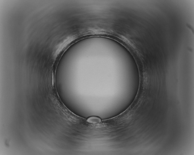 X0000101231269200807111111