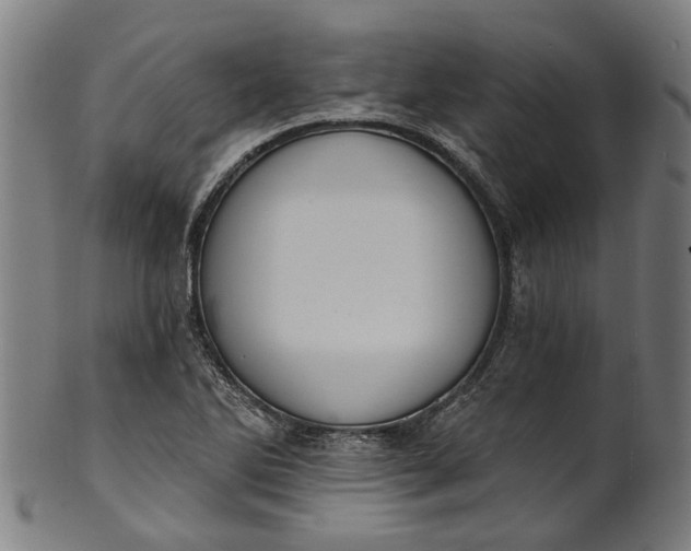 X0000101231270200807111111