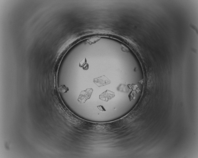 X0000101231271200807111111