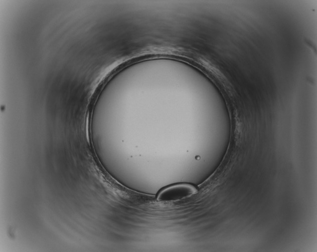 X0000101231272200807111111