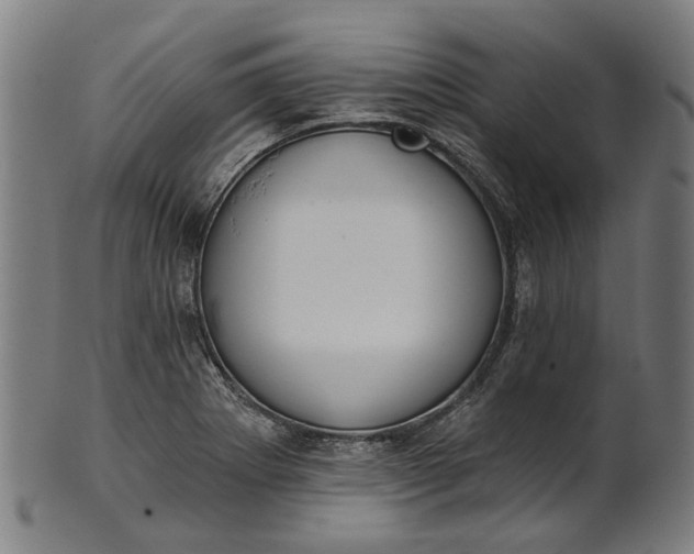 X0000101231273200807111111