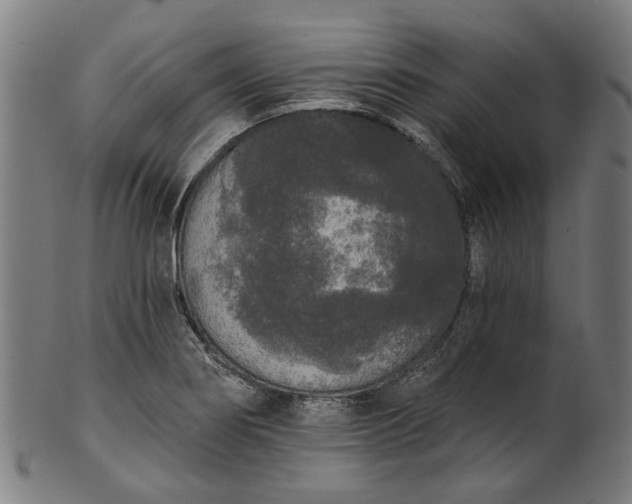 X0000101231274200807111111