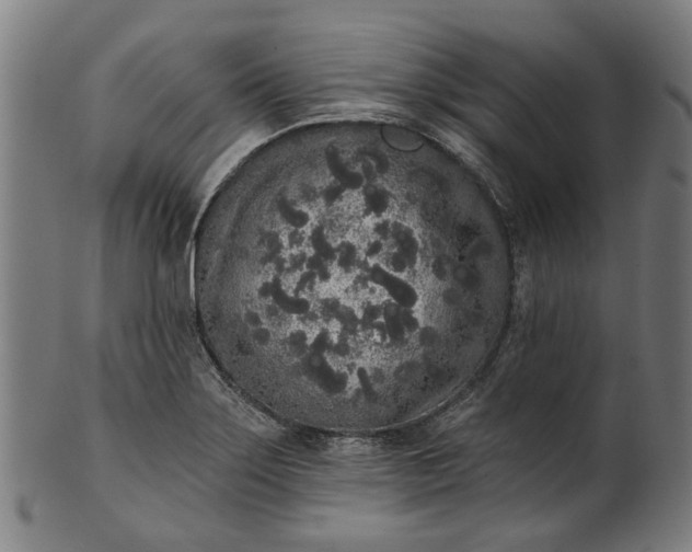 X0000101231275200807111111