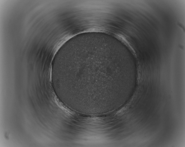 X0000101231276200807111111