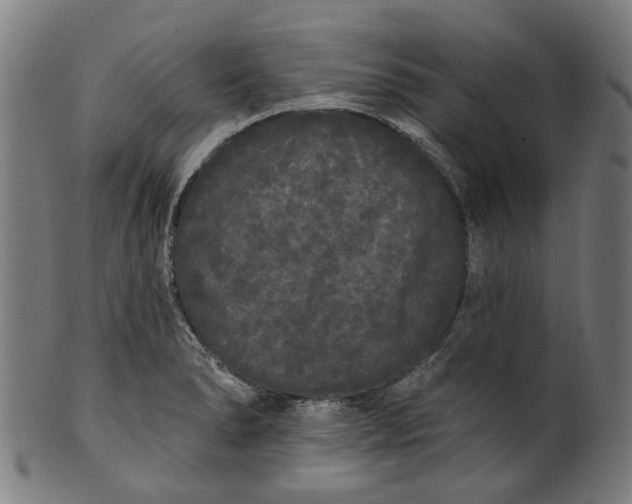 X0000101231278200807111111