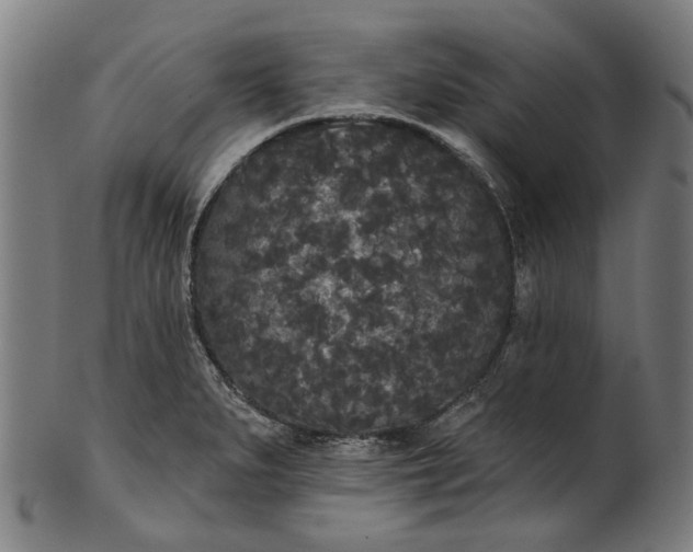 X0000101231279200807111111