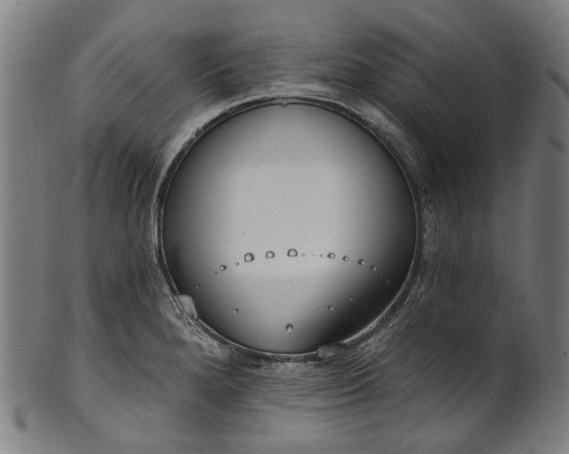 X0000101231280200807111111