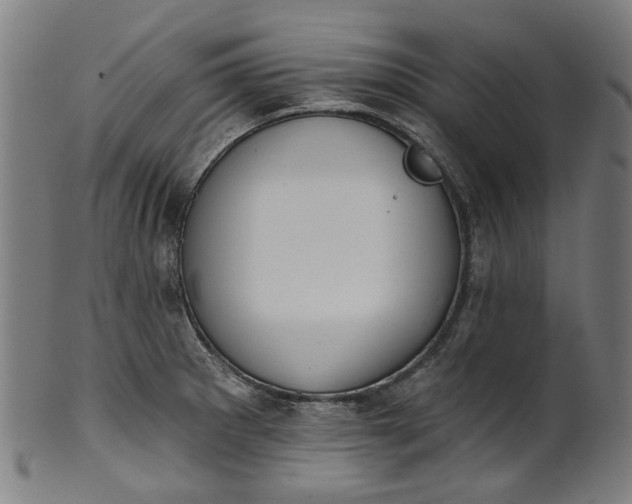 X0000101231281200807111111