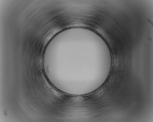 X0000101231282200807111111