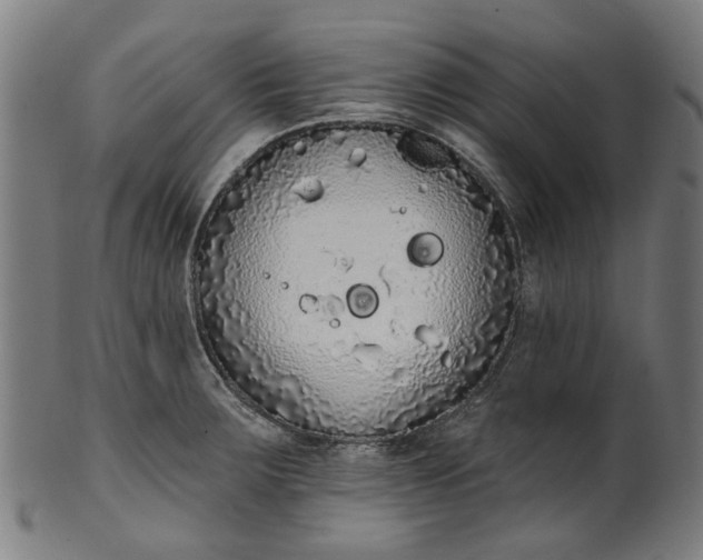 X0000101231283200807111111