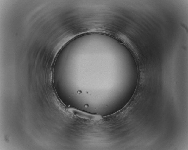 X0000101231284200807111111