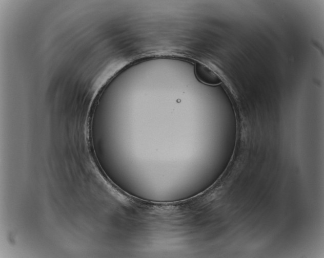 X0000101231285200807111111