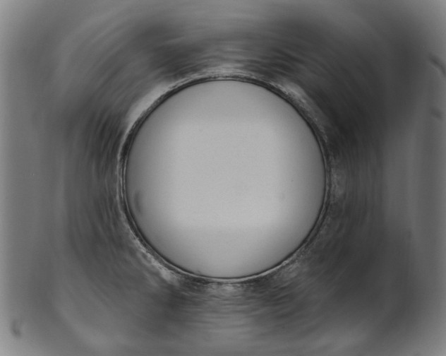 X0000101231286200807111111