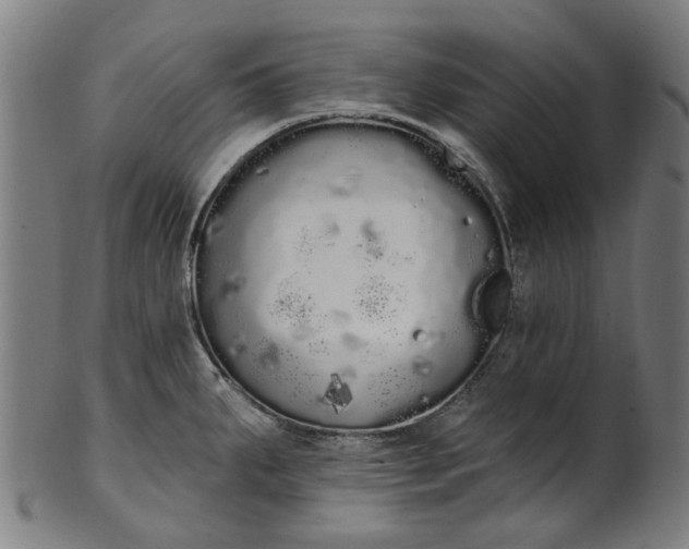 X0000101231287200807111111