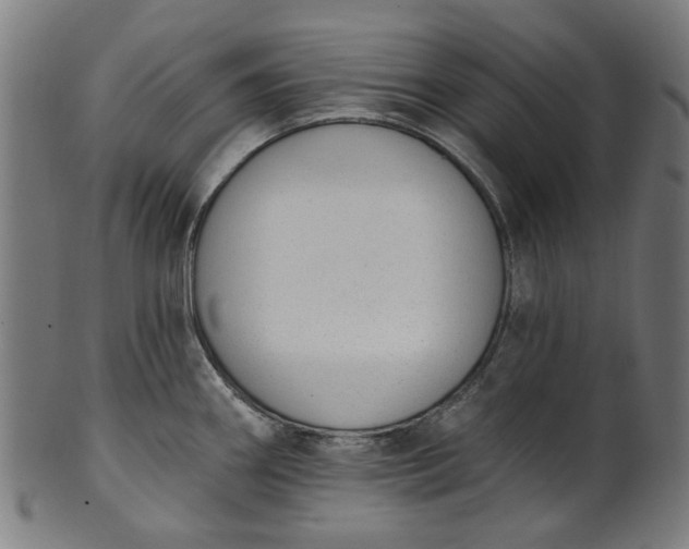 X0000101231290200807111111