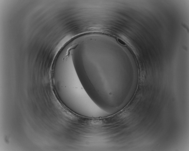 X0000101231291200807111111