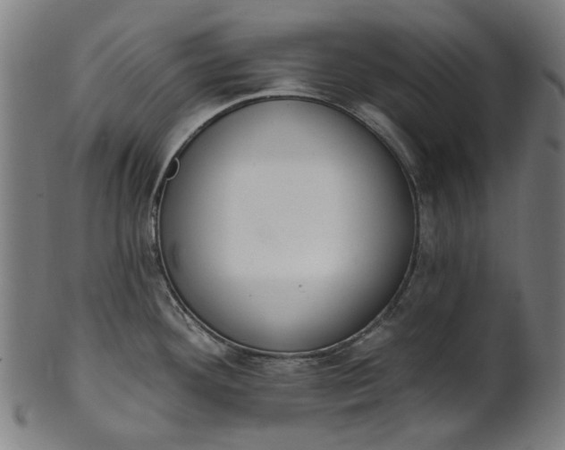 X0000101231292200807111111