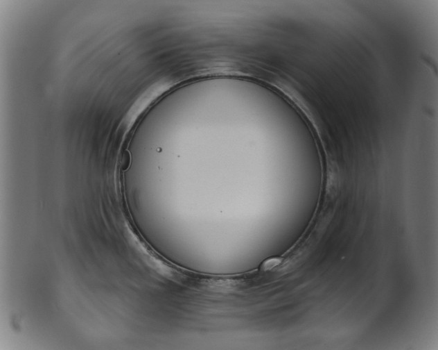 X0000101231293200807111111