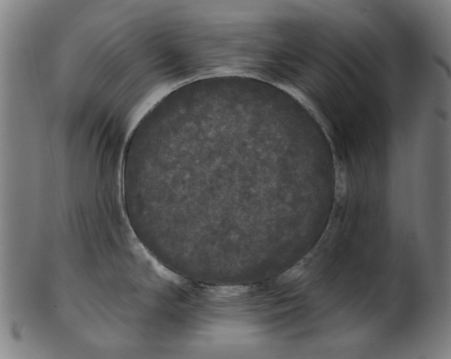 X0000101231294200807111111