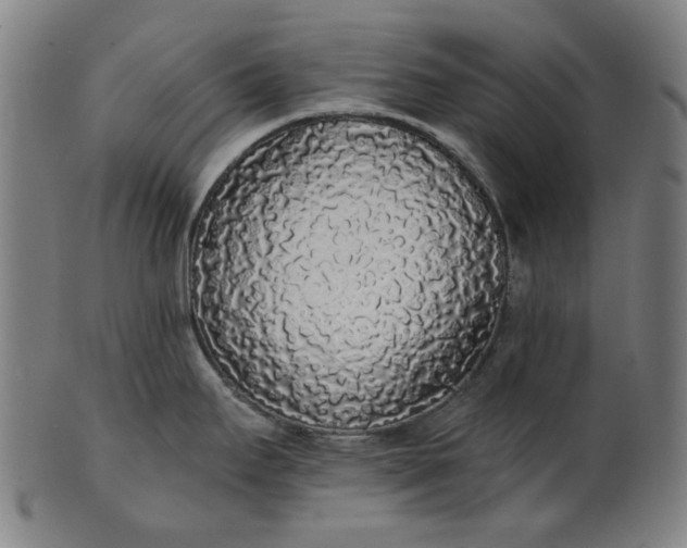 X0000101231295200807111111