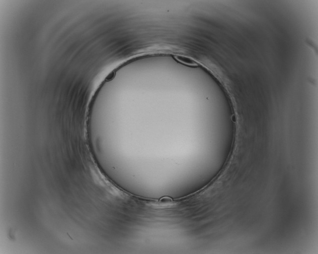 X0000101231296200807111111