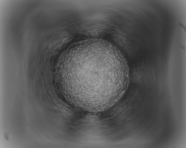 X0000101231297200807111110