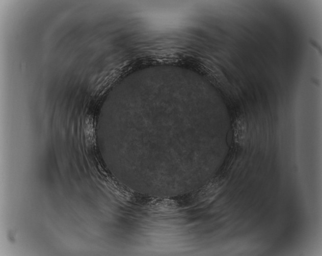 X0000101231298200807111110