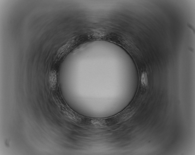 X0000101231299200807111110