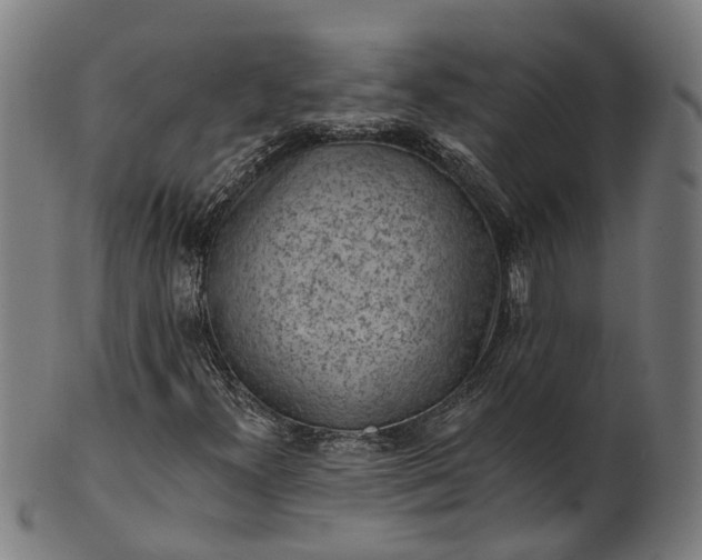 X0000101231300200807111110