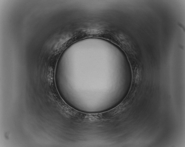 X0000101231301200807111110