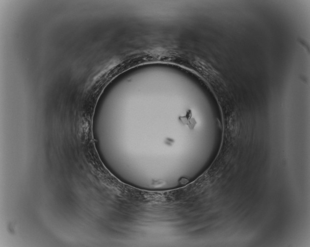 X0000101231302200807111110