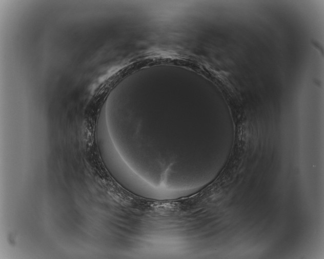 X0000101231303200807111110