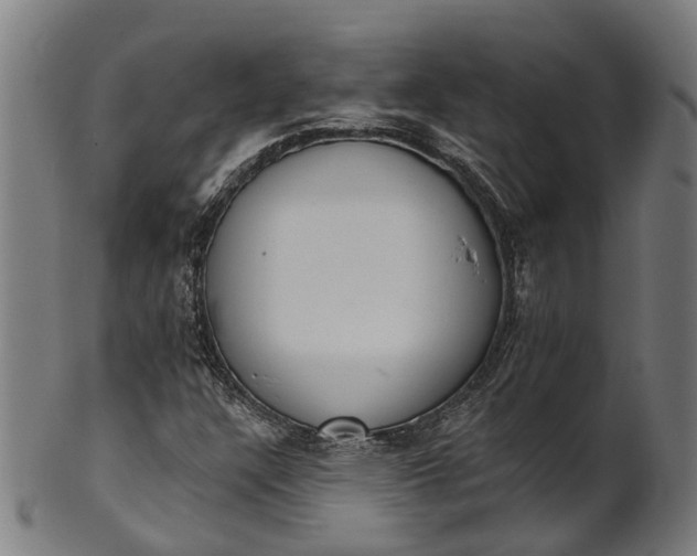 X0000101231304200807111110