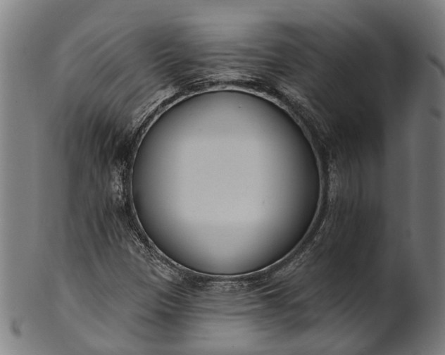 X0000101231305200807111110