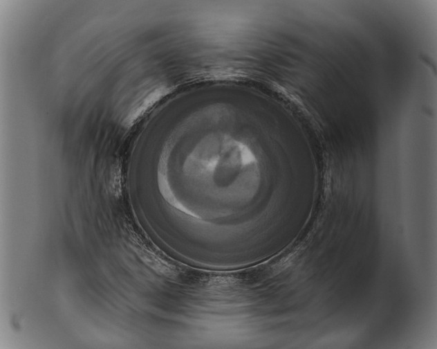 X0000101231306200807111110