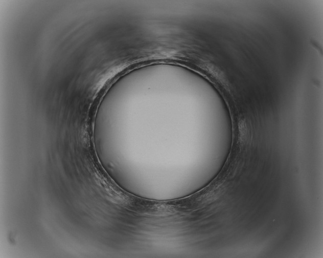 X0000101231308200807111110