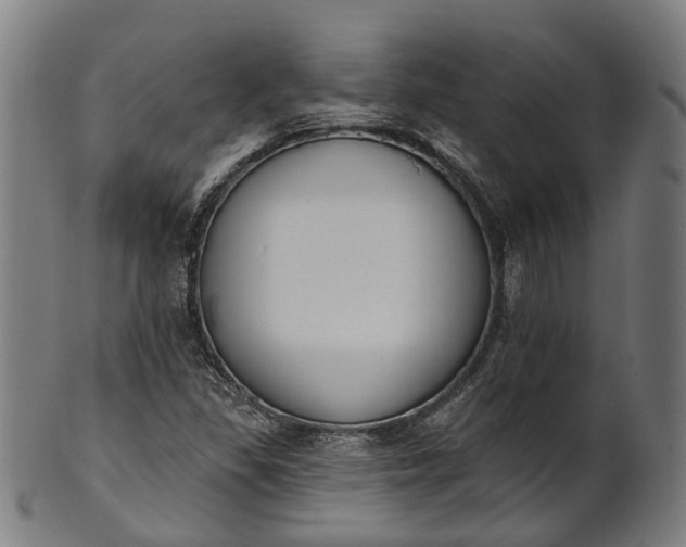 X0000101231309200807111110