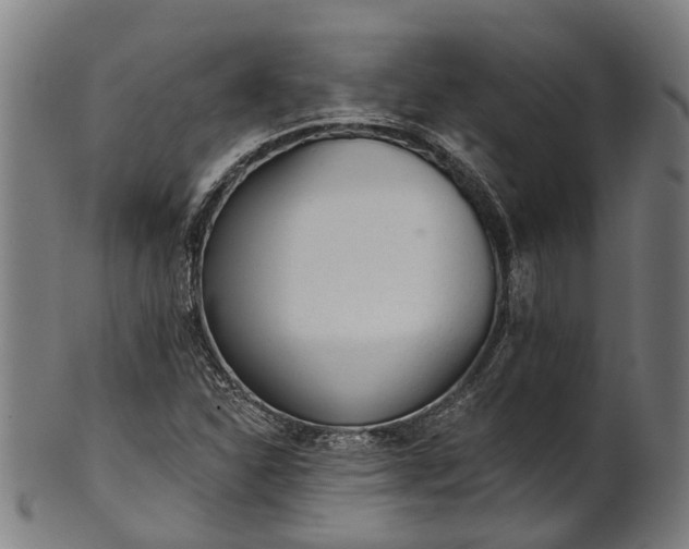 X0000101231310200807111111