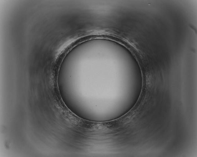 X0000101231311200807111111